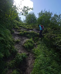 Sarah descending Alpine Trail