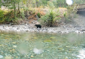 Taken with a fisheye lens