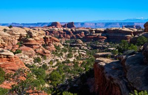 Valley in Canyonlands