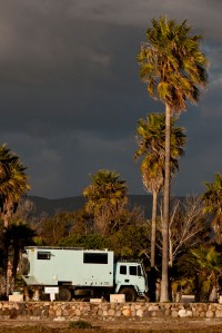 Beast at Estero Beach