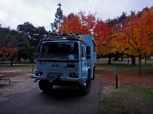 Beast at Potrero Park