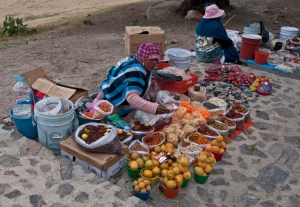 Indian woman selling grasshoppers