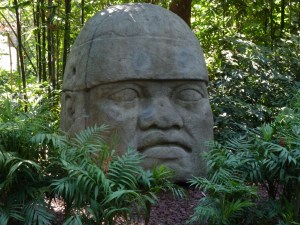 Olmec Head at Anthropology Museum