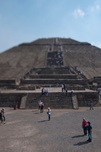 The Crowds have arrived