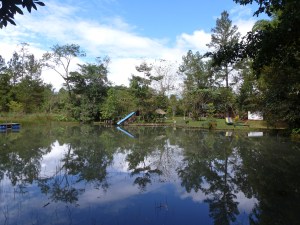 Swimming Lake at Finca Ixobel