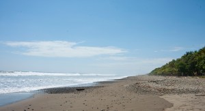 Dominical Beach 2