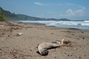 Dominical Beach
