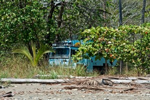 The Beast at Dominical