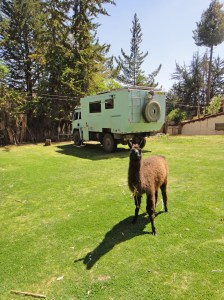 Camping at Quinta Lalal