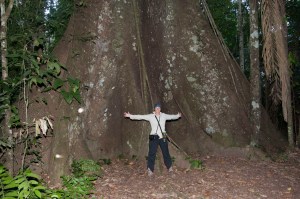Sarah with a massive tree