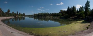 Boating lake in Park