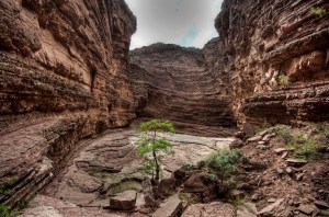 Devil's Throat inside