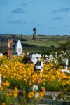 Easter Island Cemetary