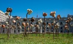 Roses art project in&nbsp;Santiago