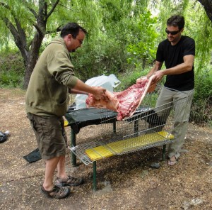 Transfer to Shopping Grill