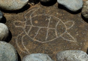 Turtle Pictograph