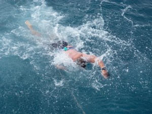 Antarctic Swimming