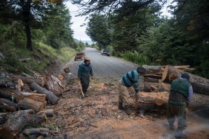Gaucho Roadblock 20 minutes later